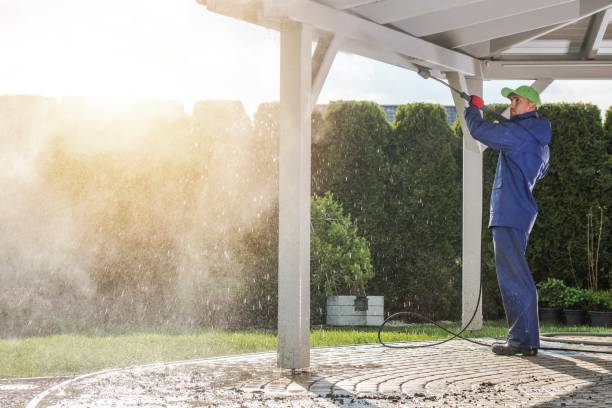 Best Animal Enclosure Cleaning  in Hackleburg, AL